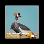RAAM BAND Unveils "Crowned Crane (Original Mix)